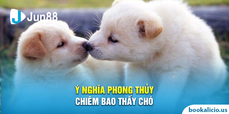 Ý nghĩa phong thủy chiêm bao thấy chó